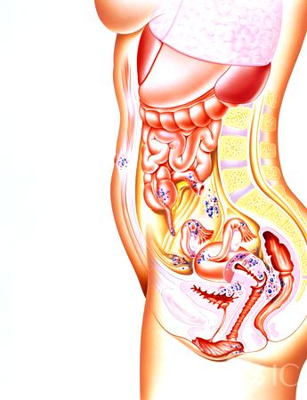 <em>女性</em>健康:<em>私处</em>塞药有讲究 谨记八项注意_新闻