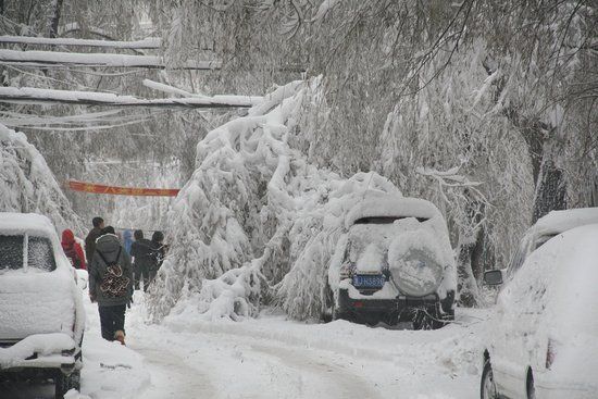 东北内蒙古雪灾致中小学停课 雪天保养五大提