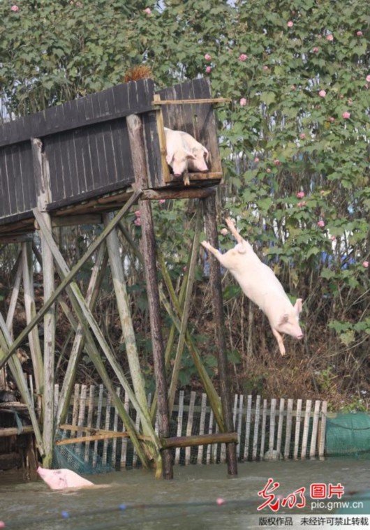 北上广人均存款_宁乡县农民人均纯收入(2)