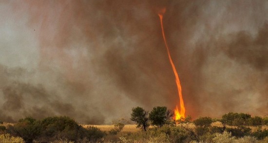 澳大利亚惊现30米高火焰龙卷风 持续40分钟