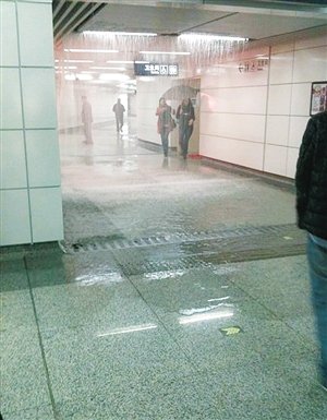 ���ݵ�������©ˮ��ˮ �������ų�ϵ����(ͼ)