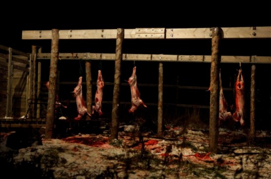 组图:看看非洲人的<em>恐怖</em>食物!动物皮毛烤掉食用