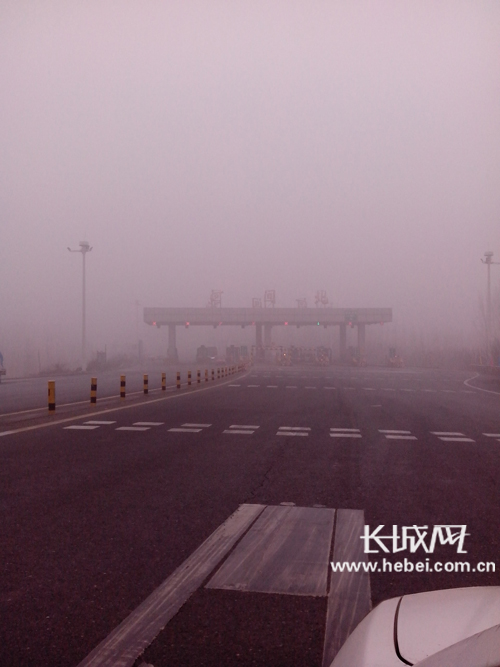 沧州出现大雾天气 春运返程旅客受影响(图)