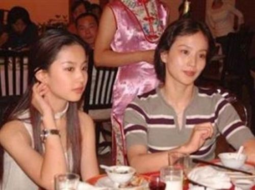 李小璐刘亦菲闫妮 揭娱圈<em>美艳母女</em>姐妹花(图)_