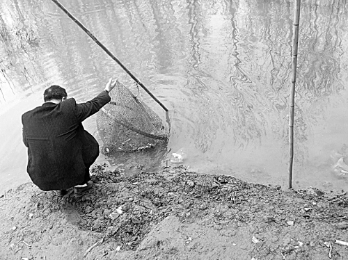 鱼儿<em>产卵</em>期 三门峡水库湿地布满捕鱼迷魂阵_