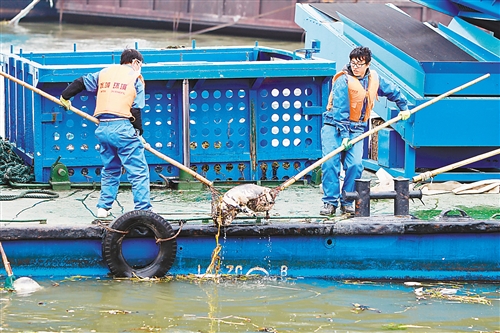 上海清理人口_上海人口