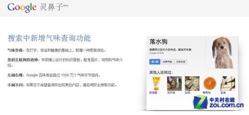 愚人节恶搞 谷歌推出 灵鼻子 应用(图)