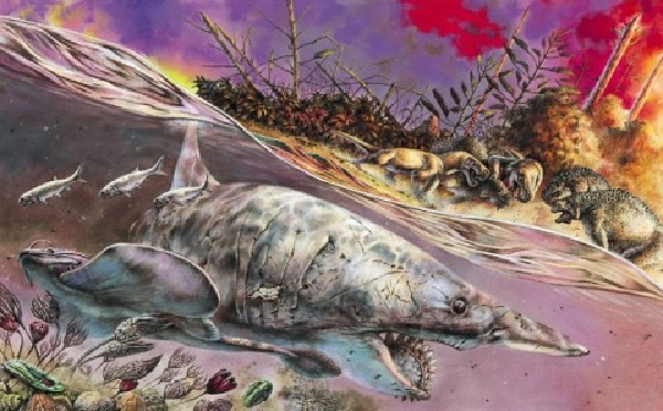 龙王鲸灭绝了吗图片 2660462465573630016.jpg