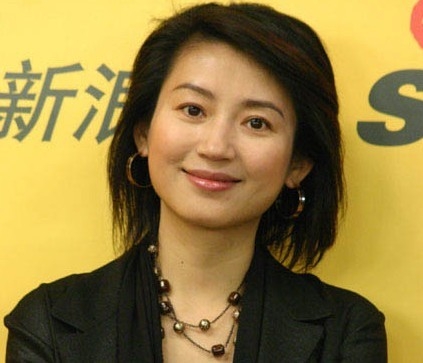 湖南台主持人_湖南台主持人年收入(2)