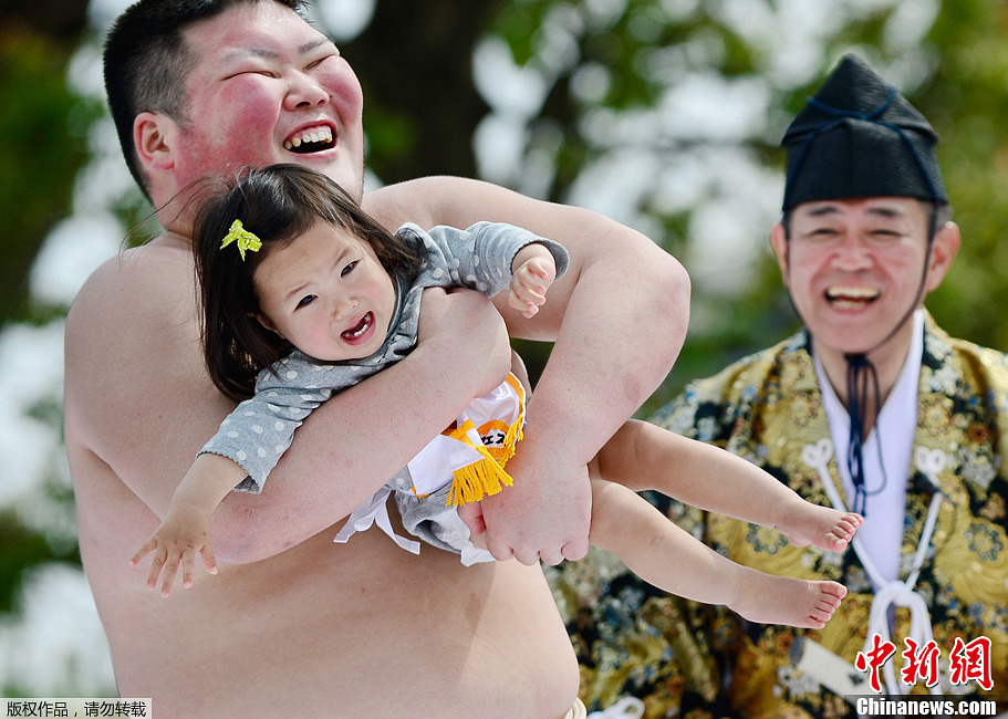 日本举行宝宝哭大赛 大胖子吓哭小孩子