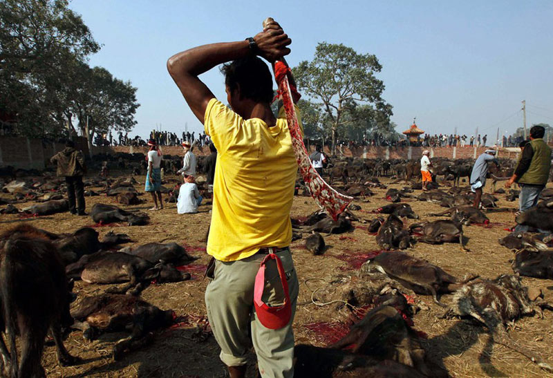 血腥暴力自残 各国祭祀实录