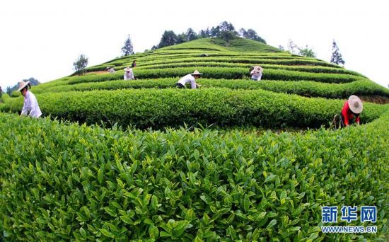 武夷山gdp_南平楼市热点问答 买房公积金贷款问题,你想知道的都在这里