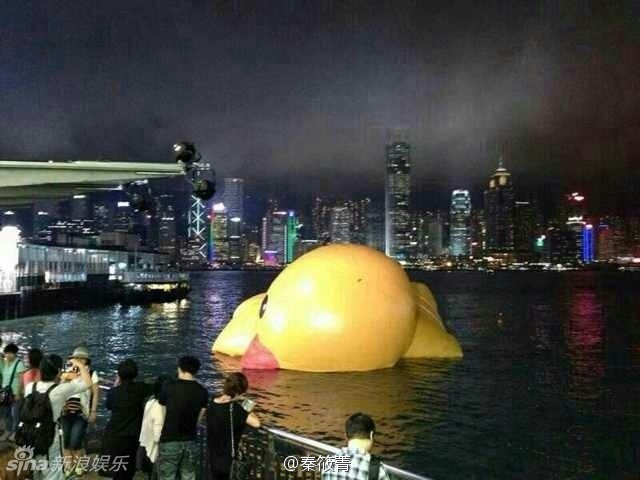 香港大黄鸭漏气累趴了 盘点与大黄鸭合影的明