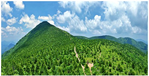 感受生态养心――百山祖景区低碳旅游