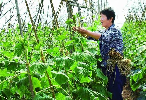 家庭农场经营范围