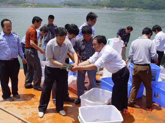 陕西安康人口_夏日傍晚的安康汉江边(2)