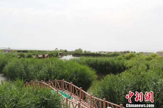 中国最大内陆淡水湖打造国家5A级景区