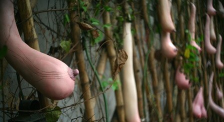 酷似<em>女人乳房</em>/组图