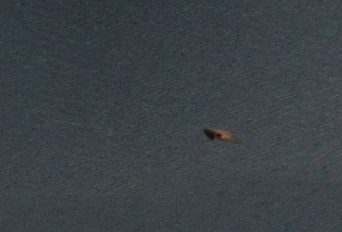 神秘莫测的<em>长白山天池怪兽</em>之谜(图)_新闻中心