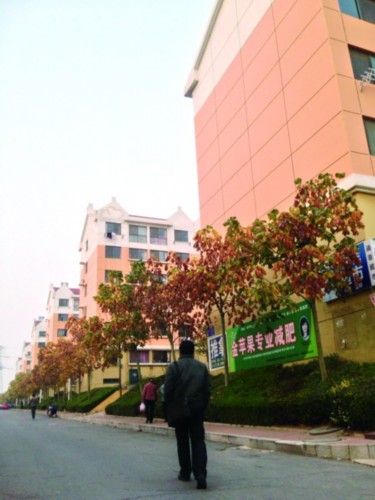 2019烟台经济房_烟台经济适用房位置在哪(2)