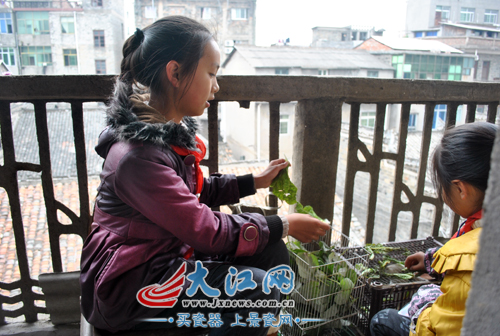 父病故家境<em>贫寒</em> 小<em>姐妹</em>新衣不舍得穿想留明年