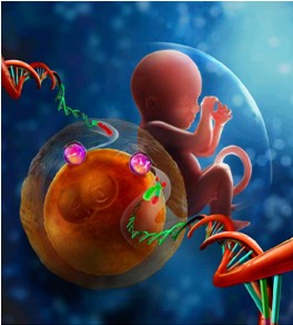 《细胞》：世界首个女性个人遗传图谱绘制完成