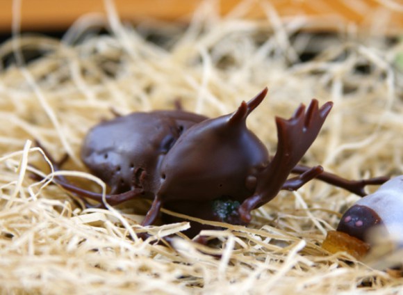 日本糖果店推幼虫造型巧克力迎情人节(组图)