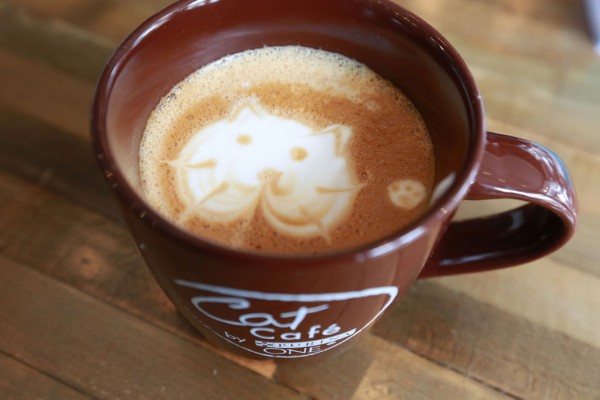 在这里,你可以品尝一杯带有猫咪雕花图案的卡布奇诺