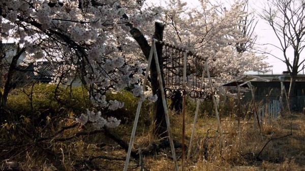 图刊:无人机视角下的日本福岛"鬼城"