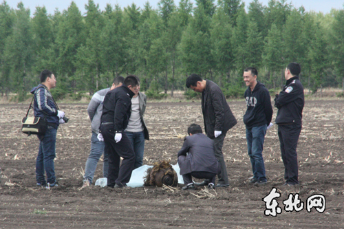 黑龙江省农村人口_庞义华副主任听取省人大法制委 常委会法工委关于4月份常