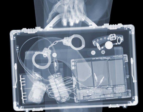 英国艺术家创作X射线图 人体一览无余