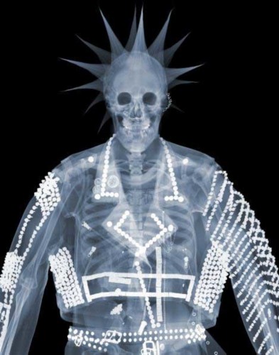 英国艺术家创作X射线图 人体一览无余