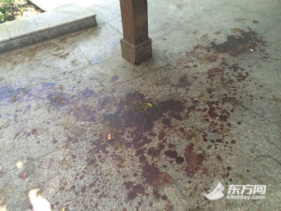 地上依旧留有大滩清晰的血迹