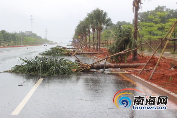文昌:直击超强台风威马逊刮倒树木