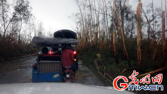台风威马逊过后海南文昌市灾情严重