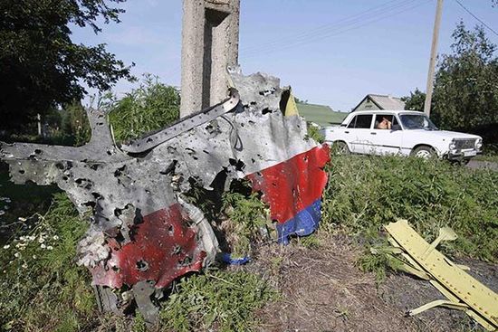 据《华尔街日报》报道,马航mh17号航班坠机现场观察员于7月24日