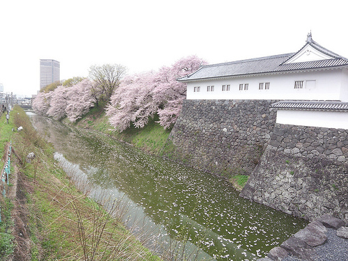 山形县各市人口_人口普查