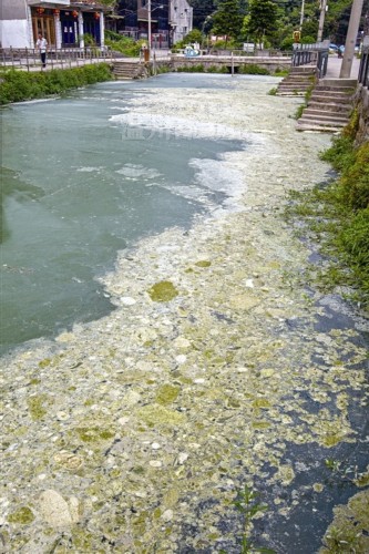 温州底岭下浃河变身\