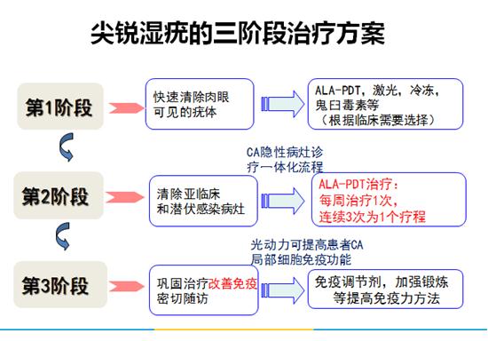 尖锐湿疣肉芽高清图片