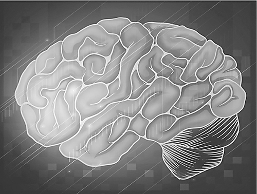 美国国家科学基金会正在支持脑研究计划