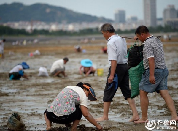 日照现人口_日照金山图片