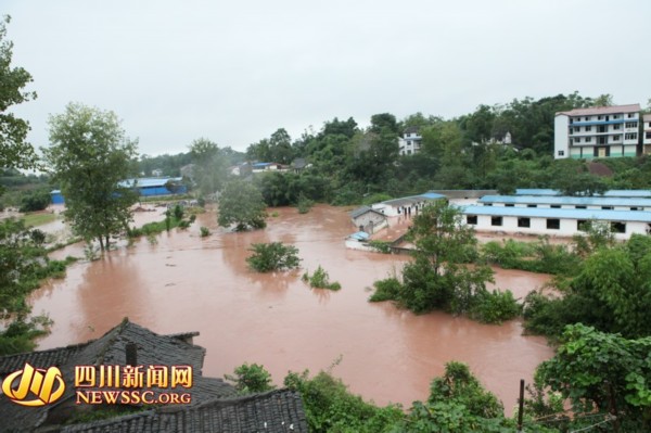 广安:特大暴雨突袭 生猪养殖场成孤岛