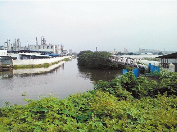 绍兴袍江开发区马海片区印染化工企业污染严重