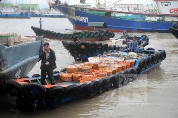 中国海鲜产量_粮食产量_树莓树的产量是多少(3)