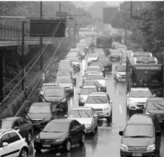 杭州无车日遇台风 网上点赞:天天这样就好了(图