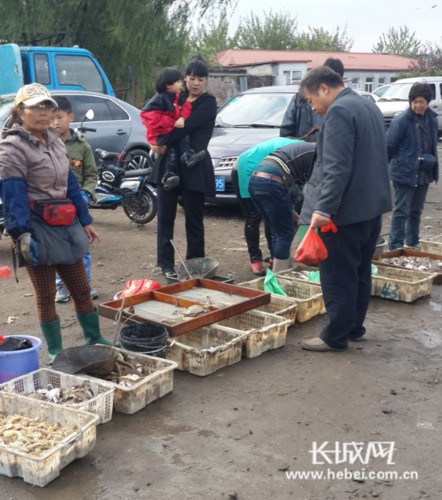 秦皇岛渔民海鲜_秦皇岛的海鲜的名称_渔民捕获一条人鱼图1(4)