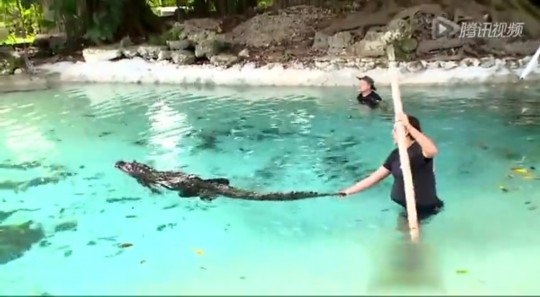 美国准妈妈怀孕7月仍坚持工作斗鳄鱼(图)