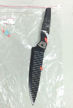 79岁老翁玩<em>性虐</em>割掉<em>女友</em>五官冲马桶 受害者面
