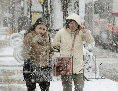 低气压冷空气带来降雪 北海道积雪达50厘米(图