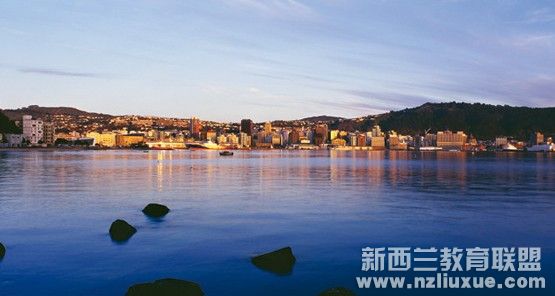 新西兰教育学专业排名_中国网教育|中国网